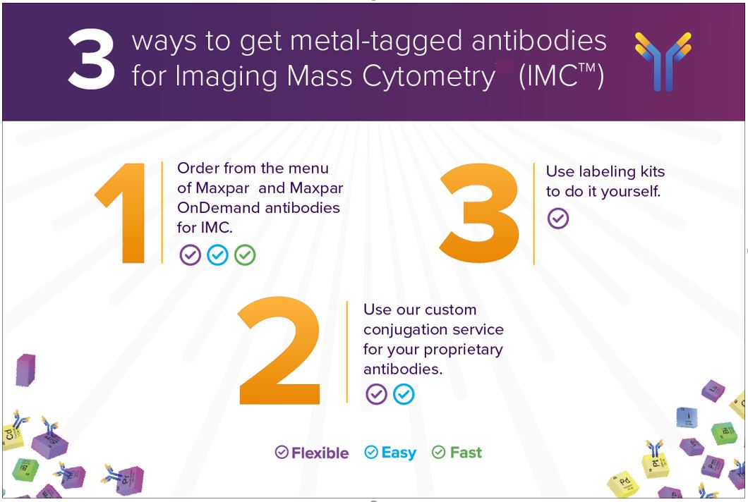 3 ways to get metal-tagged antibodies for Imaging Mass Cytometry (IMC™)