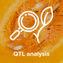 QTL analysis