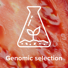 Genomic selection